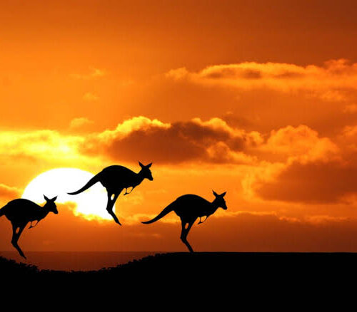 Australia Explorer